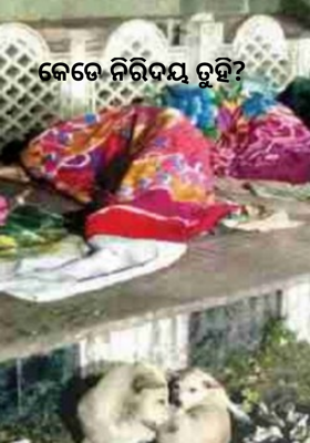 କେଡେ ନିରିଦୟ ତୁହି