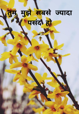 तुम मुझे सबसे ज्यादा पसंद हो