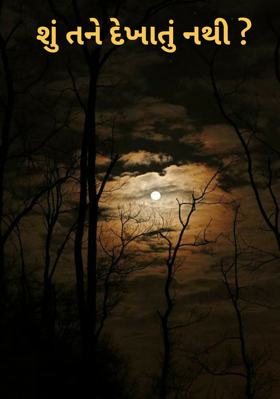 શું તને દેખાતું નથી ?