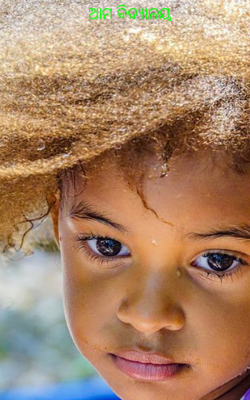 ଆମ ବିଦ୍ୟାଳୟ