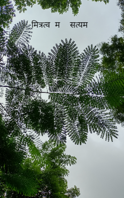 मित्रत्वम सत्यम