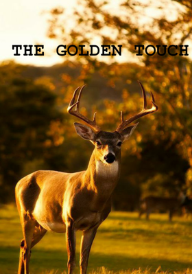 The Golden Touch