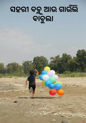 ସହରୀ ବବ୍ଲୁ ଆଉ ଗାଉଁଲି ବାବୁଲା