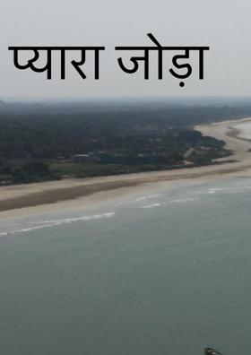 प्यारा जोड़ा
