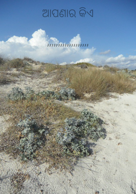 ଆପଣାର କିଏ ?