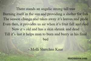 There stands an angelic strong tall tree
Burning itself in the sun and providing a shelter for free
The season change and takes away it’s leaves and pride
Even then, it provides us air when it’s fruit fall and died
Now it’s old and has a skin shrunk and dead
Till it’s last it helps man to burn and burry in his final bed

- Molli Sherchan Kaur