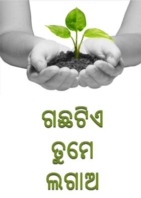 ଗଛଟିଏ ତୁମେ ଲଗାଅ