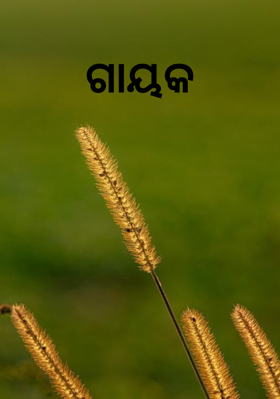 ଗାୟକ