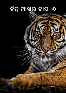 ଚିତ୍ର ଆଖିର ବାଘ :୬