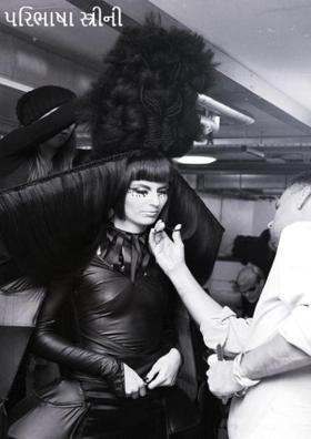 પરિભાષા સ્ત્રીની