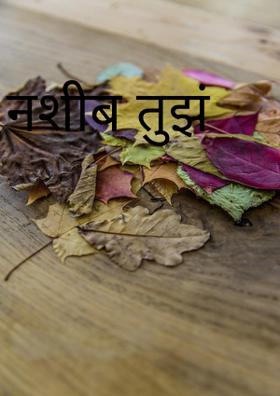 नशीब तुझं