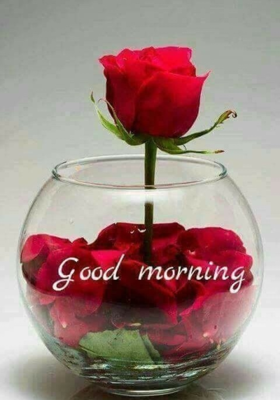 इंसान और मशीन के फायदे नुकसान