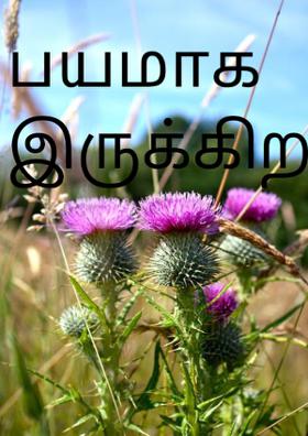 பயமாக இருக்கிறது.