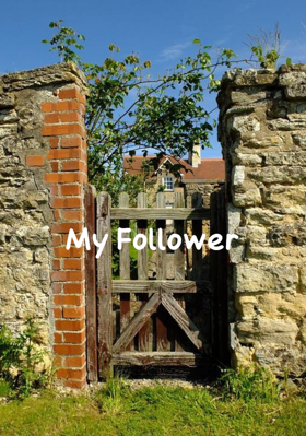 My Follower
