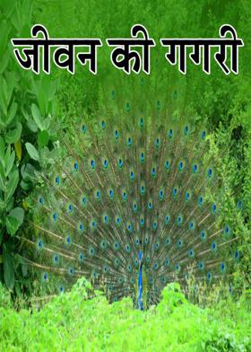 जीवन की गगरी