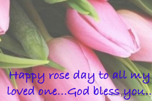 Happy rose day to all my loved one...God bless you..