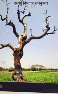 दयालु निष्काम राजकुमार