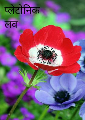 प्लेटोनिक लव