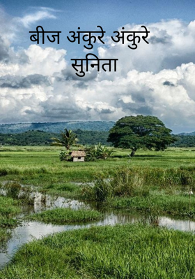 बीज अंकुरे अंकुरे  सुनिता