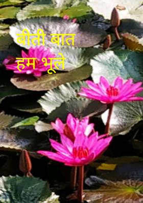 बीती बात हम भूले