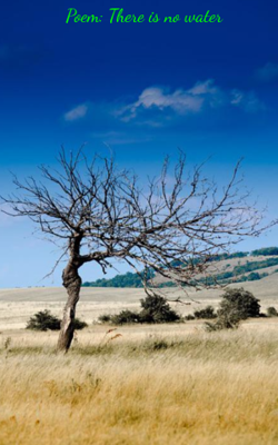 Poem: There Is No Water