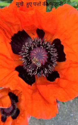 सूखे  हुए पत्तों की  कहानी