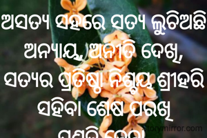 ଅସତ୍ୟ ସହରେ ସତ୍ୟ ଲୁଚିଅଛି
ଅନ୍ୟାୟ, ଅନୀତି ଦେଖି,
ସତ୍ୟର ପ୍ରତିଷ୍ଠା ନିଶ୍ଚୟ ଶ୍ରୀହରି
ସହିବା ଶେଷ ପରଖି
ପ୍ରଣତି ଜେନା 