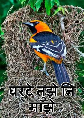 घरटे तुझे नि माझे