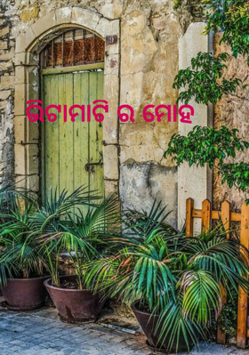 ଭିଟାମାଟିର ମୋହ