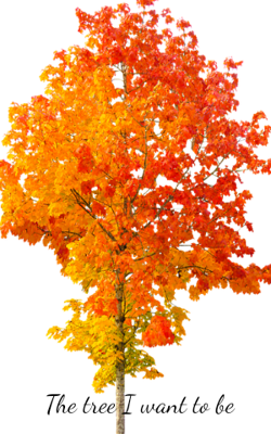 The tree I want to be