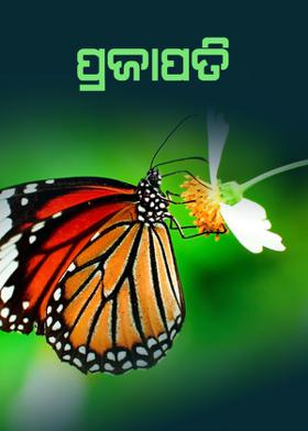 ପ୍ରଜାପତି