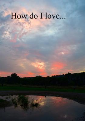 How Do I Love...