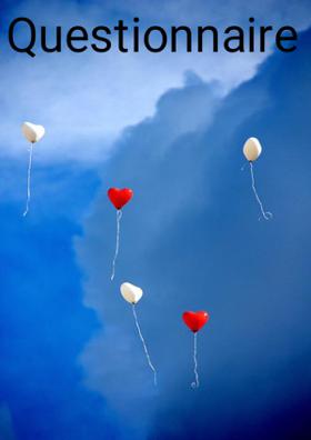 Questionnaire