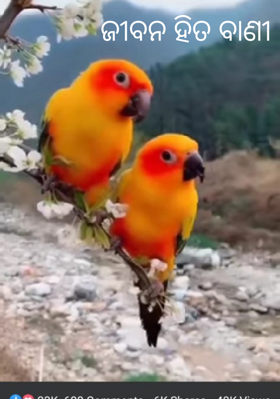 ଜୀବନ ହିତ ବାଣୀ