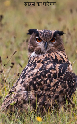 साहस का परिचय