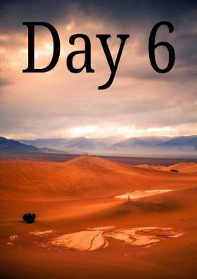 Day 6