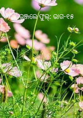 ଉଞ୍ଜଲେ ଫୁଲ୍: ଭାଗ-୧୫