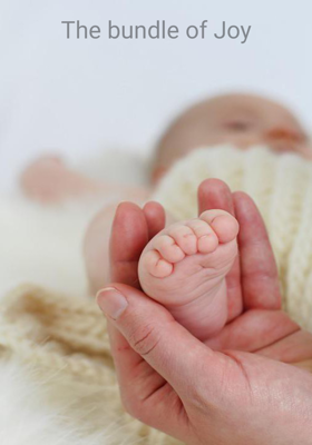 The Bundle Of Joy