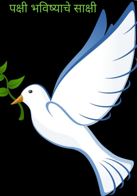 पक्षी भविष्याचे साक्षी
