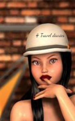 # Travel diaries