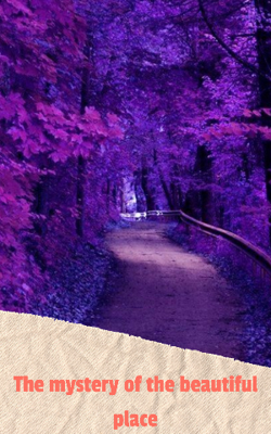 The Mysterious Dream