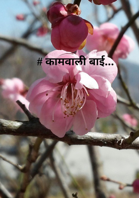 # कामवाली बाई...