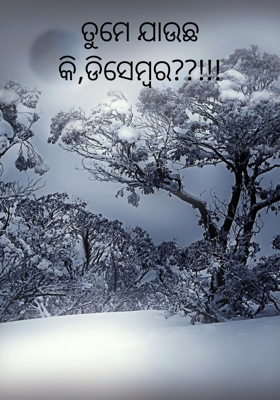 ତୁମେ ଯାଉଛ କି,ଡିସେମ୍ବର??!!!