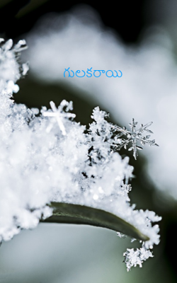 గులకరాయి