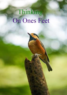 Thinking On One's Feet