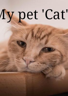 My Pet 'Cat'