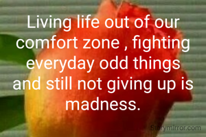 Living life out of our comfort zone , fighting everyday odd things and still not giving up is madness.