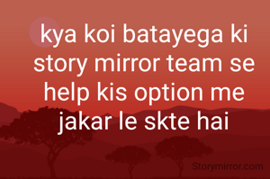 kya koi batayega ki story mirror team se help kis option me jakar le skte hai