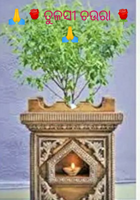 ତୁଳସୀ ଚଉରା