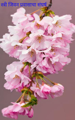 स्त्री जिवन प्रवासाचा संघर्ष.....